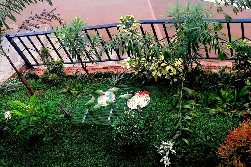 Saru Holiday Apartment - Upto 6 Guests Kandy Luaran gambar